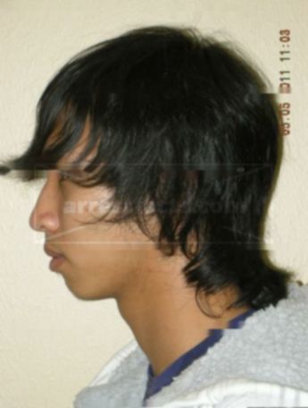 Nicholas T Le