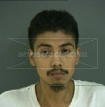 Louis Alex Flores