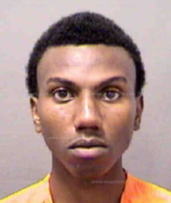 Shawn Shameik Gilliam