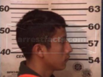 Jose Delfino Castro Espinoza