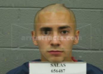 Steven Ismael Salas