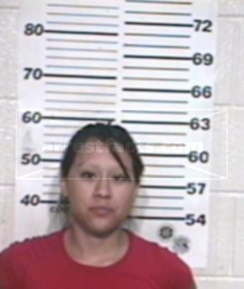 Elida Torres Mireles