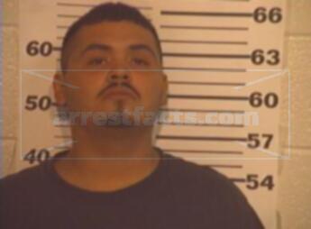 Michael Flores Luna
