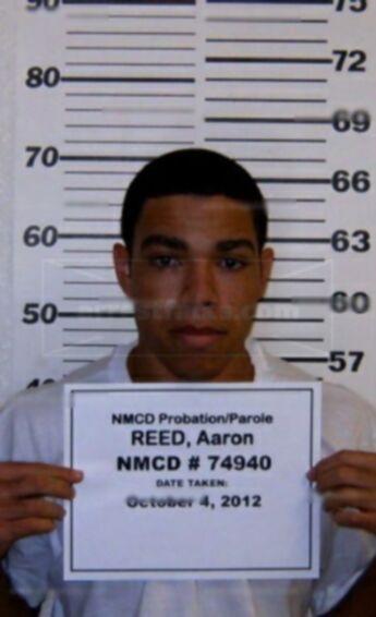 Aaron Davis Reed