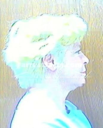Jean A Askins
