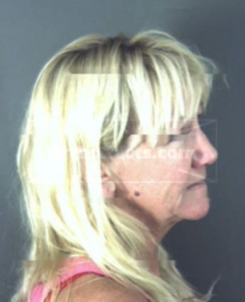 Lyn Ellen Kaminski