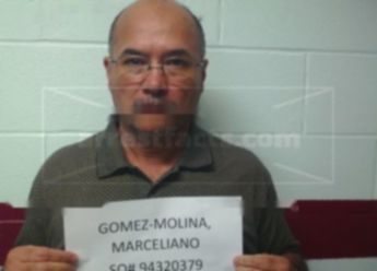 Marceliano Gomez-Molina