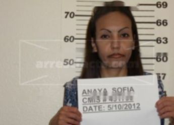 Sofia F Anaya