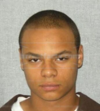 Christopher J Shelton