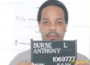 Anthony Burse