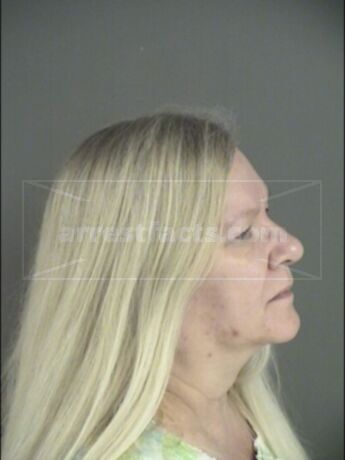 Karen Hobbs Brashear