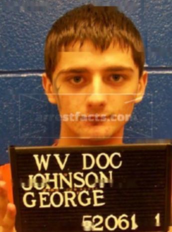 George D Johnson