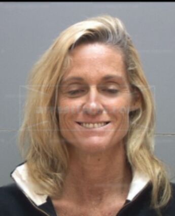 Laurie Ellsworth Torney