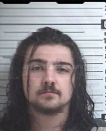 Taylor Alexander Davidson