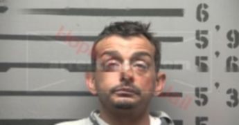 William Howard Hamilton Jr.