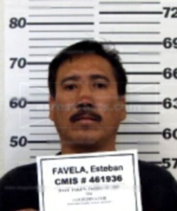 Esteban Rafael Favela