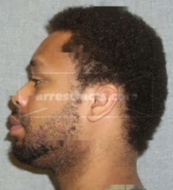 Nathaniel T Gholston