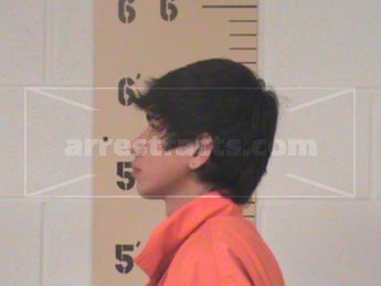 Emmanuel Alejandro Amador-Osorio