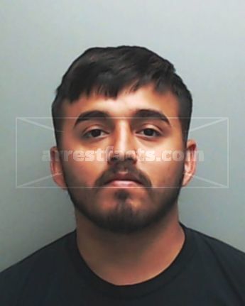 Michael Demetrius Diers