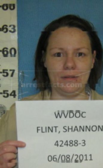 Shannon M Flint
