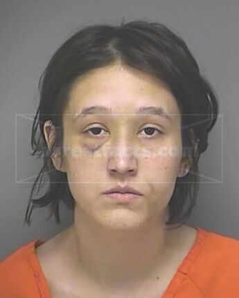 Nicole Annette Castillo