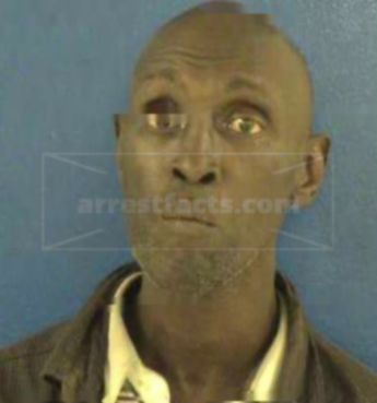 David Lewis Williams