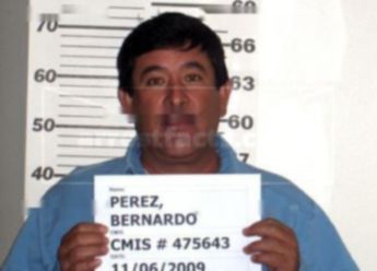 Bernardo G Perez