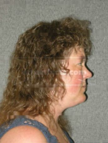 Paula J Langreck