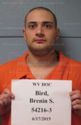 Brenin Seth Bird