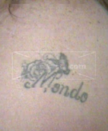 Alicia A Moreno