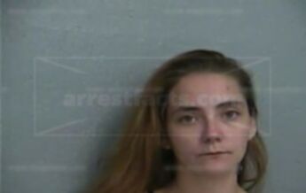 Michelle L Lachney