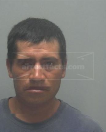 Sebastian Luis