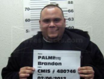 Brandon R Palmer