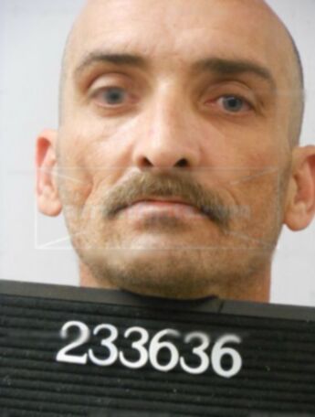 David Brannon