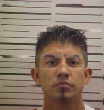Tyler Flores