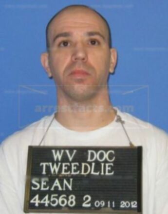 Sean Tweedlie