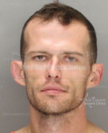 Alvin Leroyjr Palin