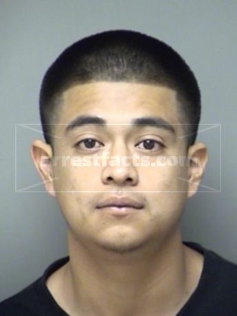Jose Luis Saucedo