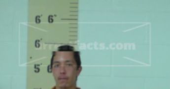 Roy Matthew Holman