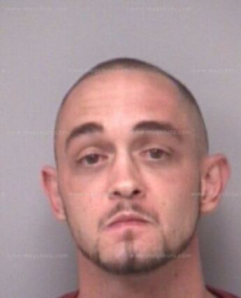 Michael Edwin Palmer