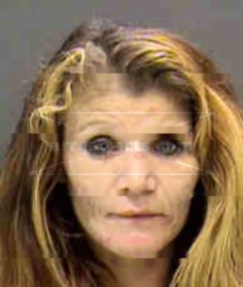 Robin Alice Damore
