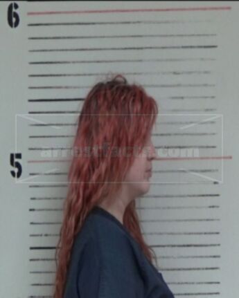 Shelbie Noelle Falconer