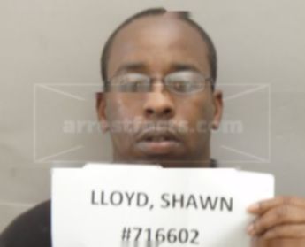 Shawn Marquit Lloyd