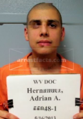 Adrian Anthony Hernandez