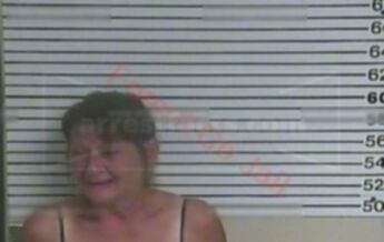 Lyn Susan Scott