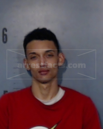 Tyler James Nelson