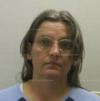 Cindy L Lambert