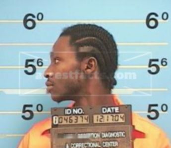 Anthony S Taylor