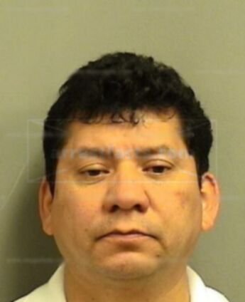 David J Castillo