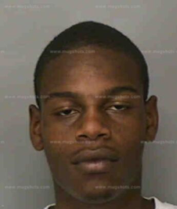 Tray D Hamilton
